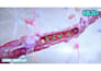 create 3d antibody binding protein interaction and moa animation